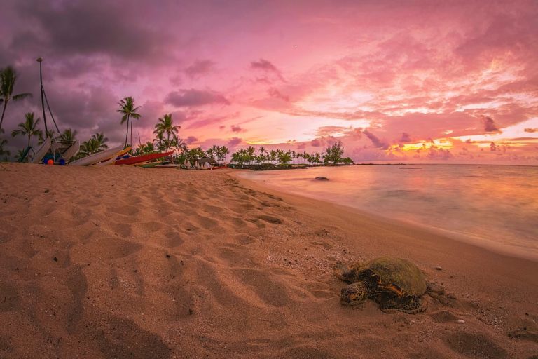 Hawaii