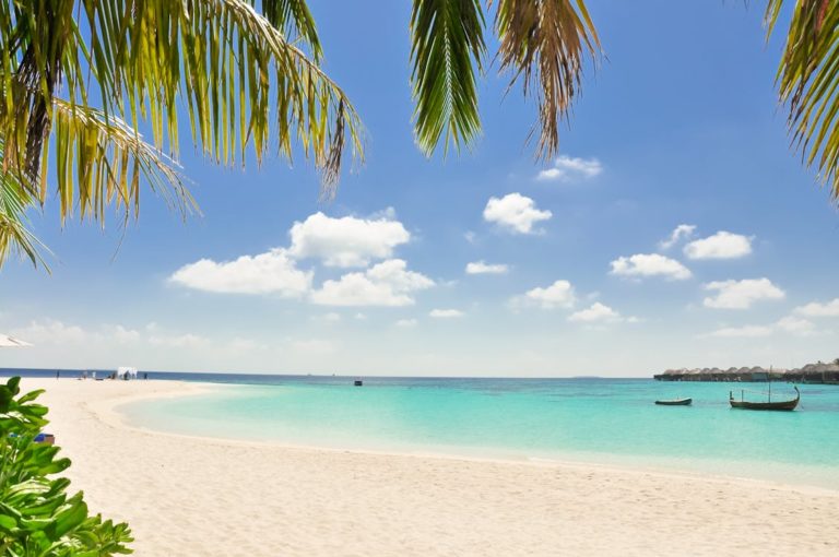 St. Kitts & Nevis