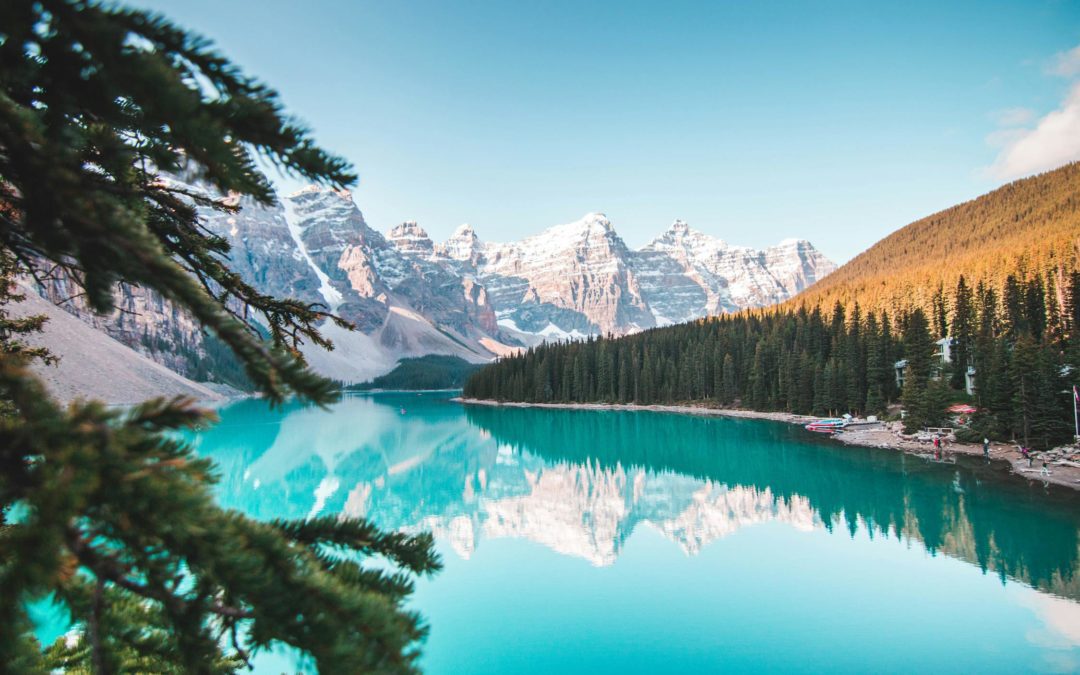 Patagonia: The Last Wilderness