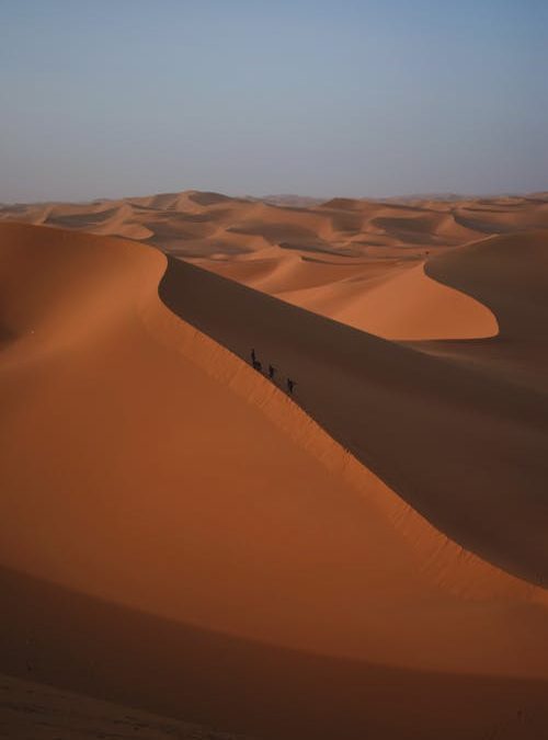 Group and Private Journeys