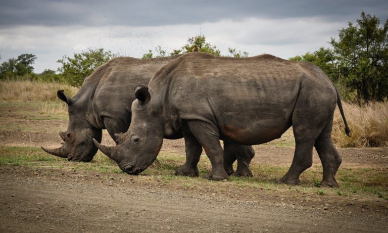 Botswana