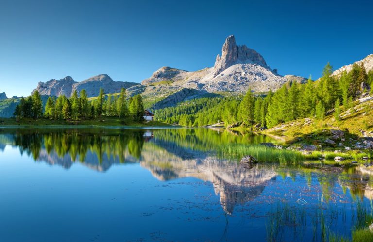 French Alps